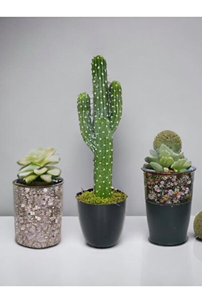 Nettenevime Yapay Çiçek Kaktüs Ağacı 3Kollu Siyah Saksıda 56*15cm sk4019