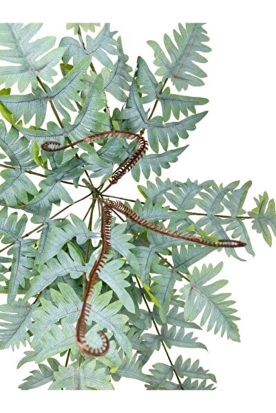 Nettenevime Yapay Çiçek Pastel Cycas Aşk Merdiveni 80cm Eğrelti Otu Sıkas Bitkisi 12 Yaprak 40*80cm Yapay Bitki