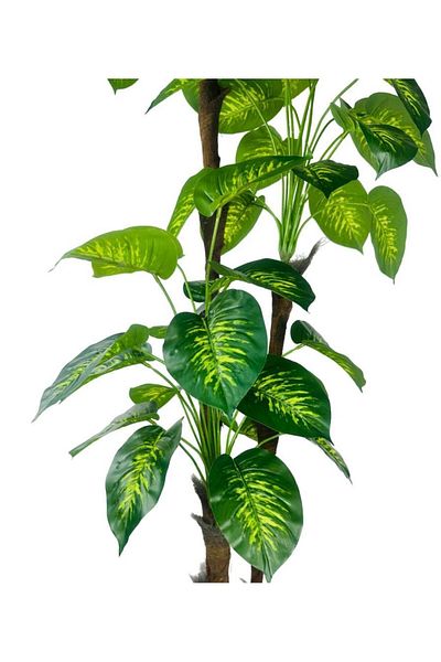 Nettenevime Τεχνητό λουλούδι Difenbahya Yellow Green 3 Στρώσεις 190cm 54 Φύλλα Τεχνητό φυτό σε λευκή γλάστρα με ασημί ζώνη
