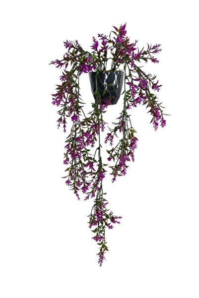 Nettenevime Yapay Çiçek Siyah Saksıda Sarkan Ty60 Fuşya Bitki Yapay Sarmaşık 60cm