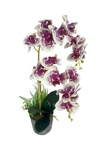 Nettenevime Yapay Çiçek 2li Benekli Fuşya Islak Orkide Seramik Saksıda Orkide 60cm