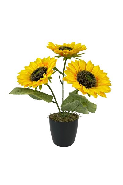 Nettenevime Yapay Çiçek Siyah Saksıda Ay Çiçeği 3kafa 38cm