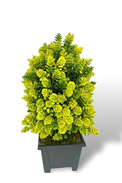 Nettenevime Artificial Flower Bonsai Tree Yellow Cone Model Decorative Artificial Tree Bonzai in 30*15 cm Black Square Pot