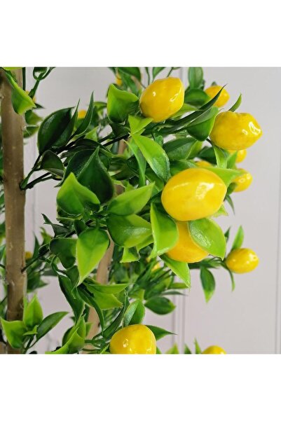 Nettenevime Yapay Ağaç Limon Ağacı Gür Yapraklı 80cm Bambu Dalında Gümüş Paslanmaz Aleminyum Saksılı