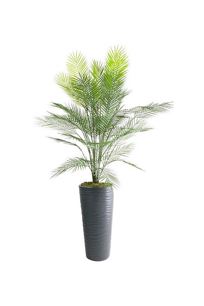 Nettenevime Τεχνητό δέντρο Areka Tree Black Tall Palm Tree σε Βάζο Παραλία Τεχνητό Areka 170cm 40 Φύλλα