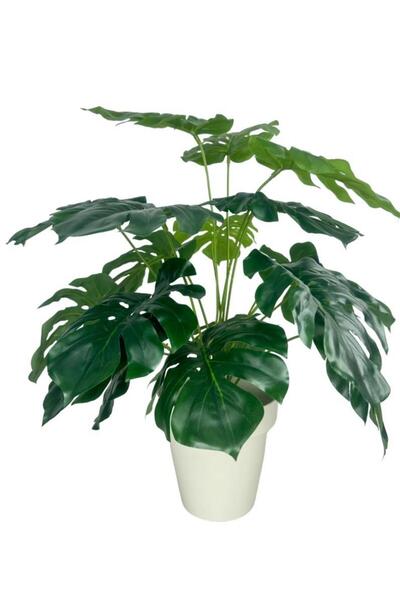 Nettenevime Yapay Çiçek Monstera Salon Çiçeği 50cm Beyaz Saksılı Yapay Bitki