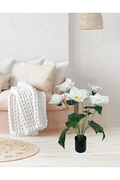 Nettenevime Yapay Çiçek Islak Manolya Çiçeği 6 Çiçekli 65cm Siyah Saksıda Salon Çiçeği