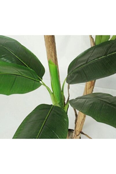 Nettenevime Yapay Ağaç Muz Ağacı Yapay Starliçe 220cm