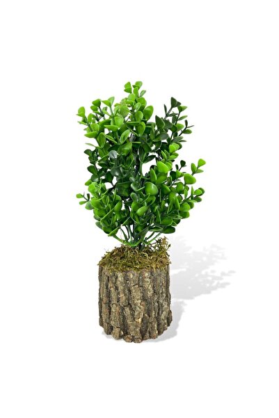 Nettenevime Yapay Çiçek Doğal Kütük Odun Saksıda Jumbo Şimşir Okaliptus Masa Çiçeği