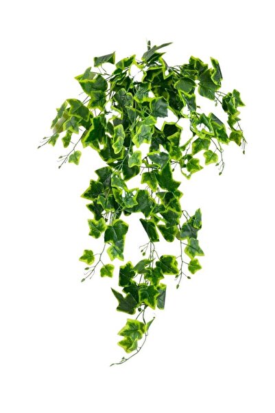 Nettenevime Yapay Sarmaşık Sarı Yeşil Dev Hedera Gerçek Görünüm Yapay Çiçek