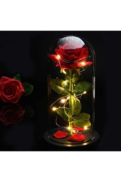 Nettenevime Faunus Içerisinde Işıklı Yapay Kırmızı Gül Ve 3 Fonksiyonlu Peril...