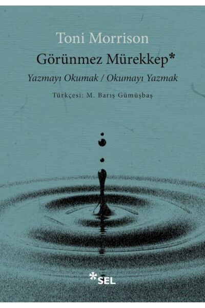 Timaş Yayınları Görünmez Mürekkep: Yazmayı Okumak / Okumayı Yazmak