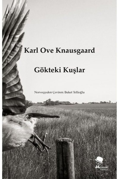 Destek Yayınları Gökteki Kuşlar