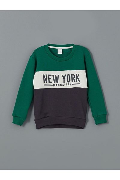 LC Waikiki Crew Neck Printed Baby Boy Set of 2