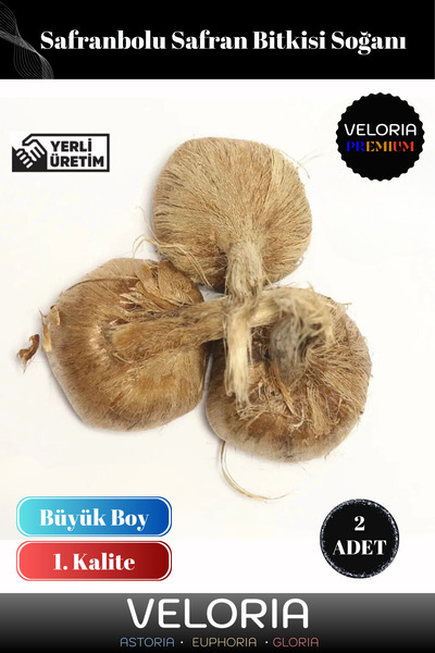 Veloria Yerli Üretim Dikime Hazır Büyük Boy 1. Kalite Safranbolu Safran Bitkisi Soğanı 2 Adet