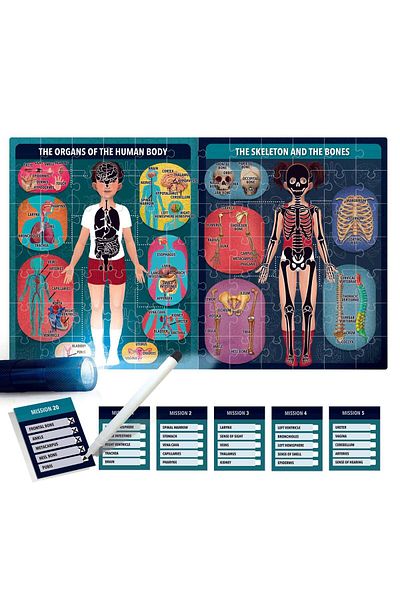 Headu Stem - Puzzle Radiografia Corpului Uman