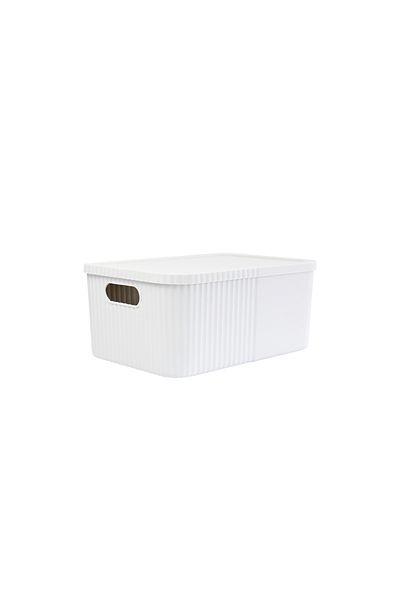 devigo Large Storage Box with Lid