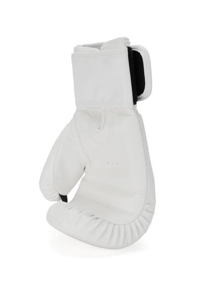 Titan Sport White Tiger Patterned Set Fgr Model-13 Boxing Gloves