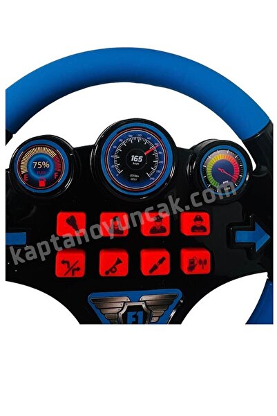 Erdem Oyuncak Oyuncak Direksiyon - Türkçe Sesli Müzikli Eğitici Yarışçı Didi Oyuncak Direksiyon - Mavi