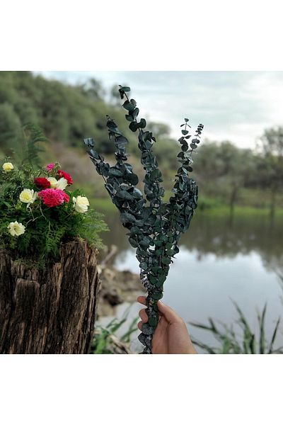 SavBrand Συγκρατημένο αληθινό αρωματικό δέσμη λουλουδιών Okiliptus, συγκρατημένο ξηρό λουλούδι