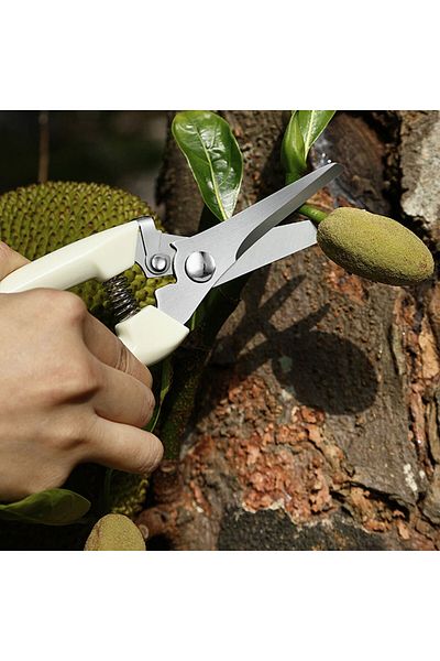 Generic Cutting thick scissors j-1293