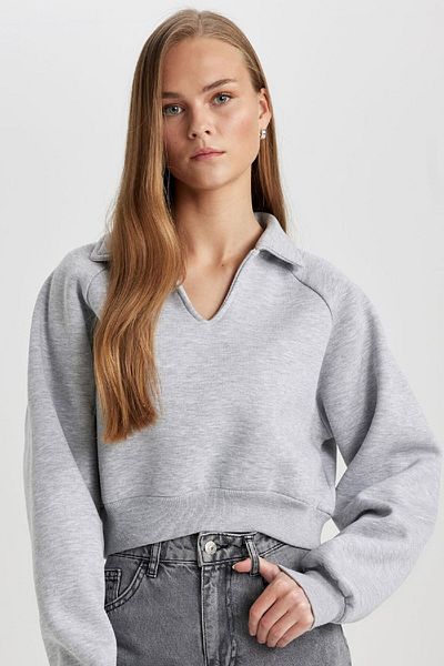 DeFacto Regular Fit Polo Neck Basic Plain Thick Sweatshirt C4583Ax24Sm