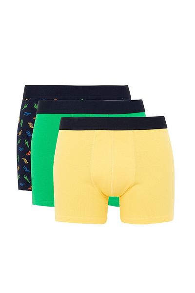 DeFacto Regular Fit 3-Pece Boxer B7922ax24sm