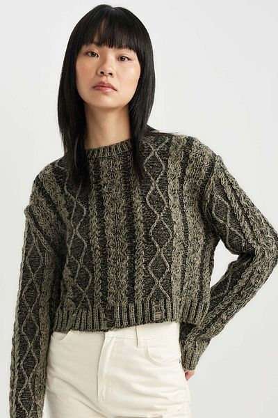 DeFacto Regular Fit Crew Neck Knitwear Sweater C1518ax23wn