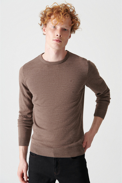 Avva Erkek Vizon Bisiklet Yaka Tüylenmeyen Triko Regular Fit Kazak E005000