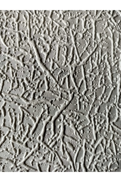 Yasham Ankawall Picasso Boyanabilir Tavan Ve Duvar Kağıdı 26,5m2