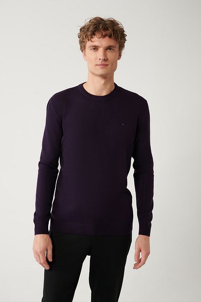 Avva Ανδρικό πλεκτό πουλόβερ Damson Crew-Neck Non-Pilling E005000