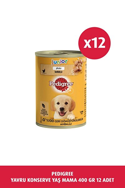 Pedigree Yavru Konserve Yaş Mama 400 G 12X
