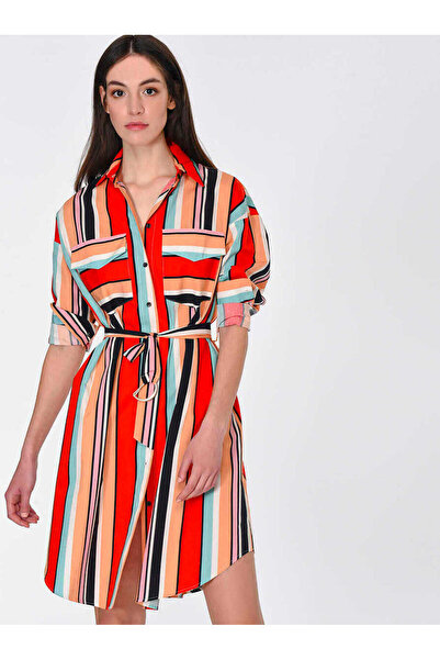 Roman Cepli Kuşaklı Çizgili Günlük Elbise Standart Renk Y1911078_089