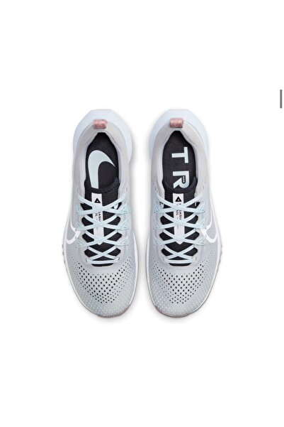 Nike Trail ayakkabı Pegasus Trail 4 Gri dj6159-005