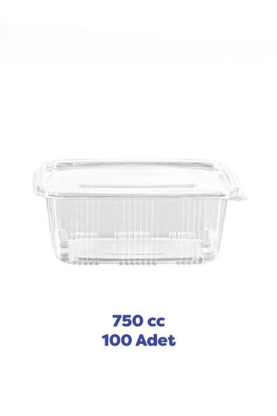 TiriStore Tiri Store Lid 750 Cc Flat Lid Leak Proof Plastic Container 100 Pieces Clear