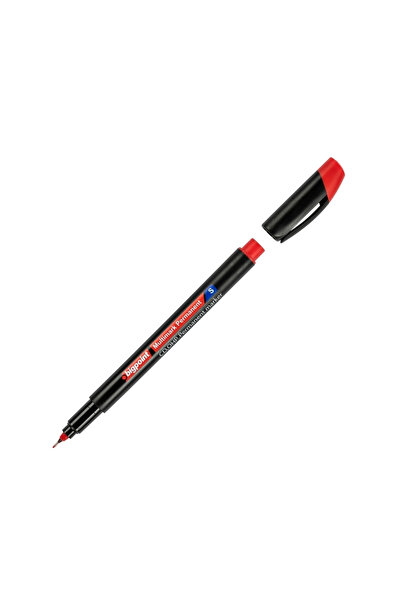 Bigpoint | Asetat Kalemi, Ince Uçlu (S) - Hızlı Kuruyan Suya Dayanıklı Ohp Cd...