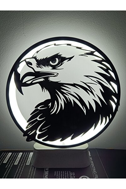 KAMER LED IŞIKLI KARTAL