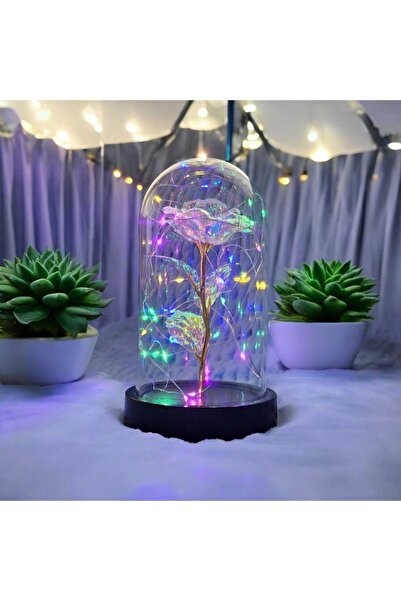 HKM Hobim Sevgililer Ve Anneler Gününe Özel, Dekoratif Solmayan Sonsuzluk Gül...