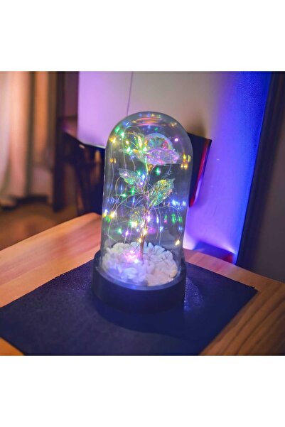 HKM Hobim Sevgililer Ve Anneler Gününe Özel, Dekoratif Solmayan Sonsuzluk Gülü,ışıklı Fanusta Gül,ışıklı Fanus