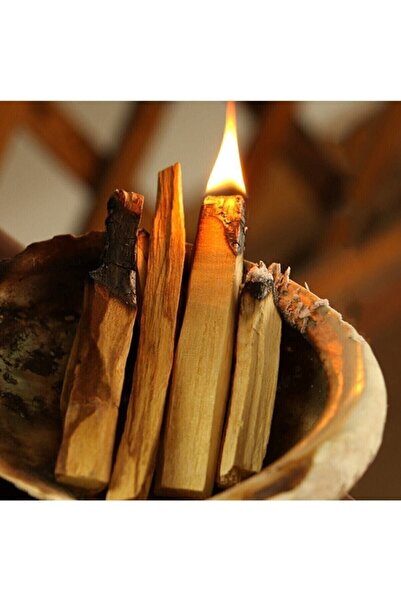 Outlet Deposu Palo Santo Tütsü 1 Adet - (YENİ ÜRETİM GÜNEY AMERİKA PERU'DAN İ...