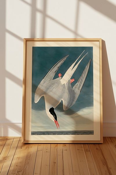 Home Arctic Tern Painting, Home Decoration, Living Room Painting, Minimal, Frameless Poster