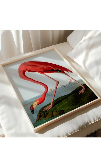 Home Vintage Flamingo Tablosu, Ev Dekorasyon, Oturma Odası Tablosu, Minimal, Sanatsal Çerçevesiz Poster