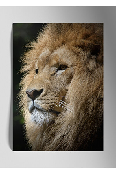 DekorHane Pictură de perete cu leu strălucitor imprimat metal