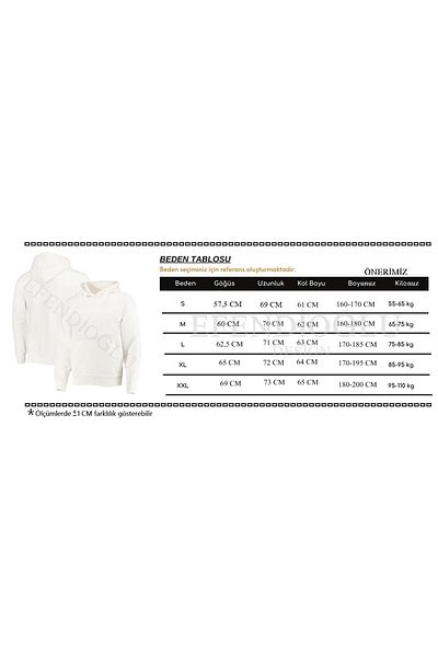 Efendioğlu Design World Champion Printed Max Verstappen Printed Formula1 Hoodie