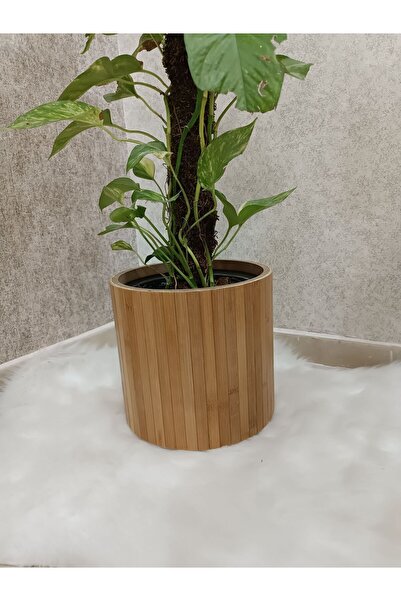 BLACK PEARL Bambu Ahşap Sepet/saksılık Naturel