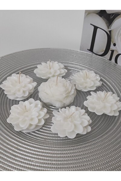 BOHEM Soyawax Suda Yüzen Çiçek Mum 7'li