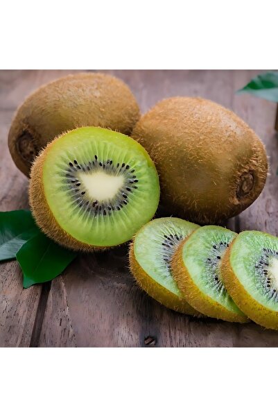 CC Jumbo Kivi 2 Yaş 100-150 Cm Boyunda 2dişi 1 Erkek Tüplüdür