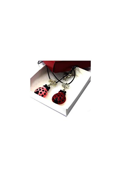 Karakedi Uğur Böcekli Bff Kolye