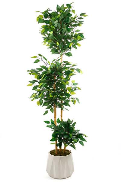 MH MiniHediye Yapay Çiçek Beton Saksıda Benjamin Salon Balkon Ev Ağacı Yeşil Bitkisi Bambu Gövdeli 160 cm