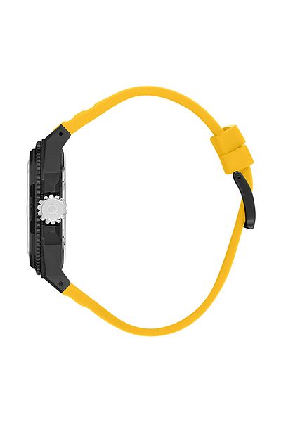 Quantum Watches